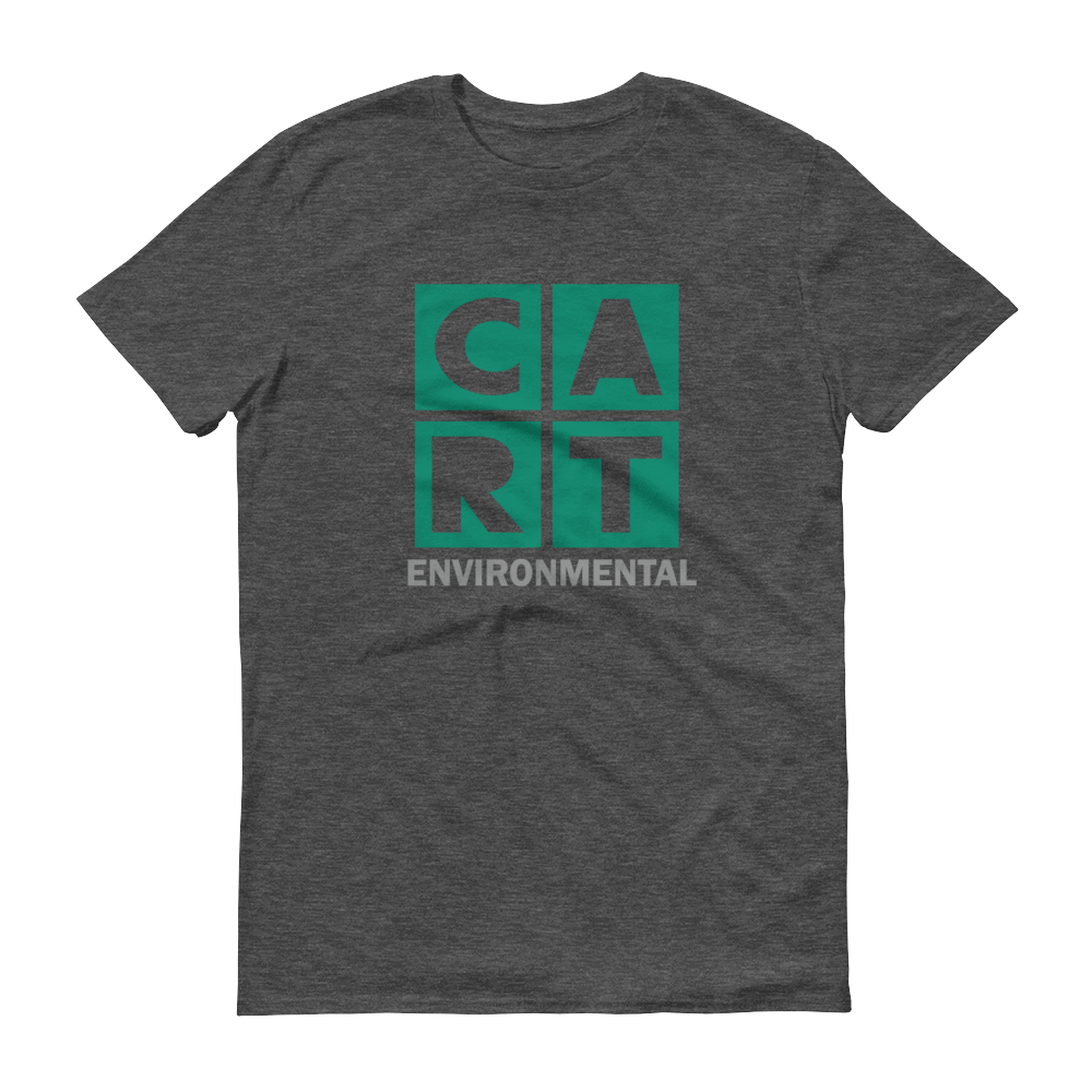 Short sleeve t-shirt - environmental grey/green